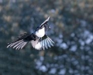 DSC_5773.jpg
