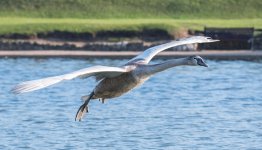 DSC_5717.jpg