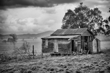 DSC_7644.jpg