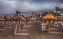 Beach umbrellas.jpg