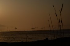 DSC_2240.jpg