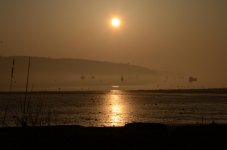DSC_2241.jpg