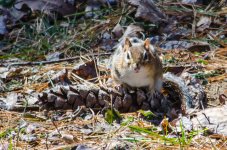 DSC_5393.jpg