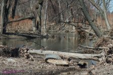 089 Susquehanna-130330-01_1.jpg