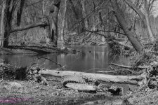 089 Susquehanna-130330-01-B&W_1.jpg