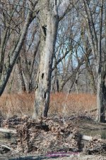 089 Susquehanna-130330-02_1.jpg