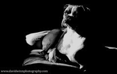 _D8A8334-Edit-3-sm.jpg