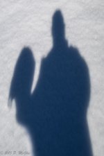 DSC_5031-Edit.jpg