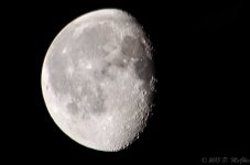 DSC_5398.jpg