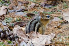 DSC_5416.jpg