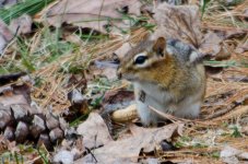 DSC_5419.jpg