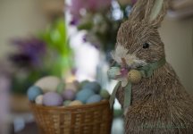 easter bokeh.jpg
