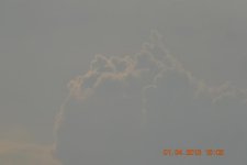 DSC_0209.jpg