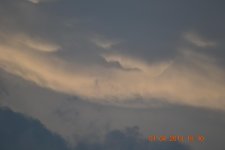 DSC_0222.jpg
