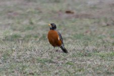 DSC_5442.jpg