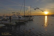 _DSC6378.jpg