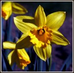 FLOWER WEED 017.jpg