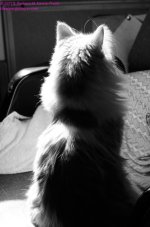 092 Creature-130402-B&W_01.jpg
