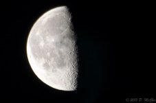 DSC_5448.jpg