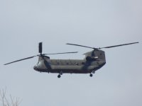 DSCN7157.jpg