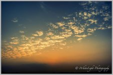 dsc_6261hdr_wlp.jpg