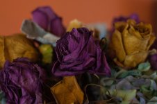 Flower.jpg