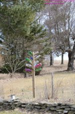 093 Bottle Tree-130403_01.jpg