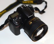 D7000w8514g2.jpg D7000w8514g2.jpg