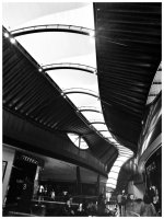 20130404_174434_1.jpg