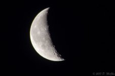 DSC_5542.jpg