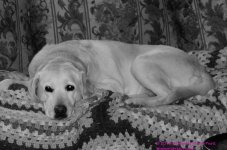 095 Jenny-130405-B&W_01.jpg