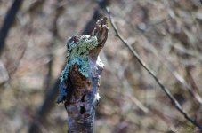 DSC_5565.jpg