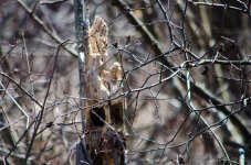 DSC_5566.jpg