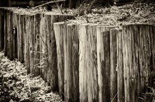 DSC_5583-Edit.jpg