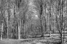 DSC_0015_6_7_tonemapped.jpg