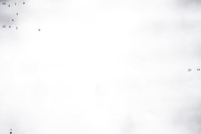 _D614390-Edit.jpg