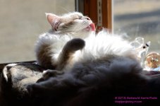 096 Creature-130406-01_01.jpg