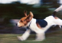SamRunning2sTD.jpg