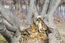 DSC_5625.jpg