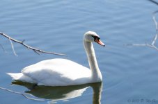 DSC_5672.jpg