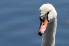 DSC_5673.jpg