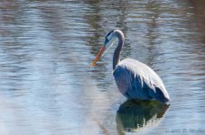 DSC_5679.jpg