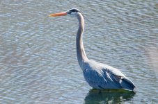 DSC_5681.jpg