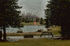 rainy day.jpg
