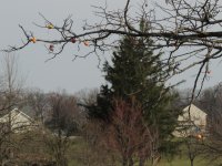 DSCN8210.jpg