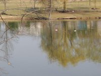 DSCN8211.jpg
