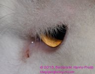 100 Spooky-130410-Cropped_01.jpg