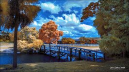 Tradewinds IR ReDo  2_01.JPG