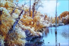 Wako IR  ReDo  4_01.JPG