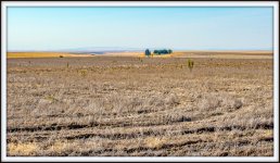 1-DSC_3538.jpg